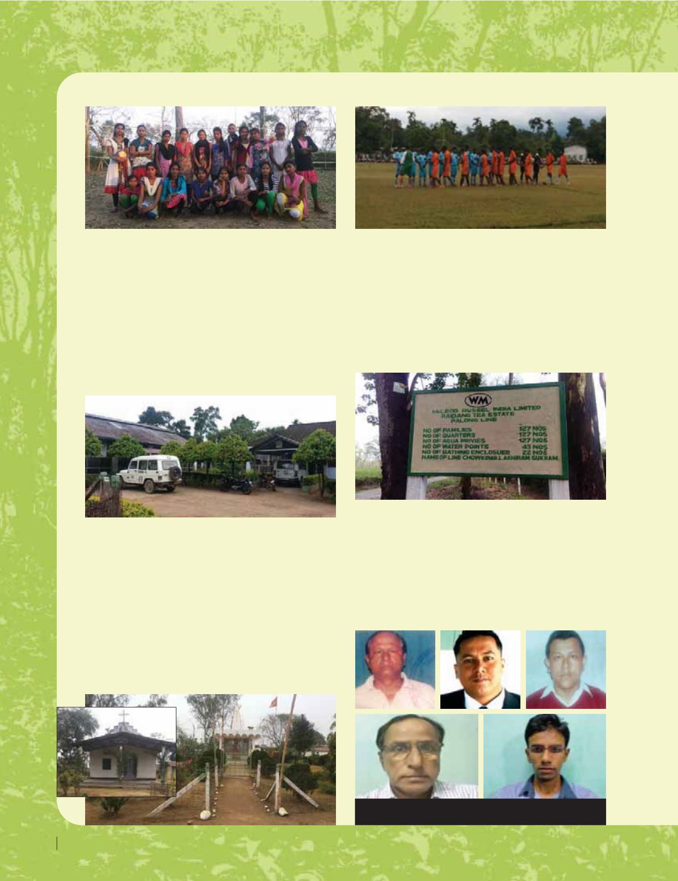 Page Background