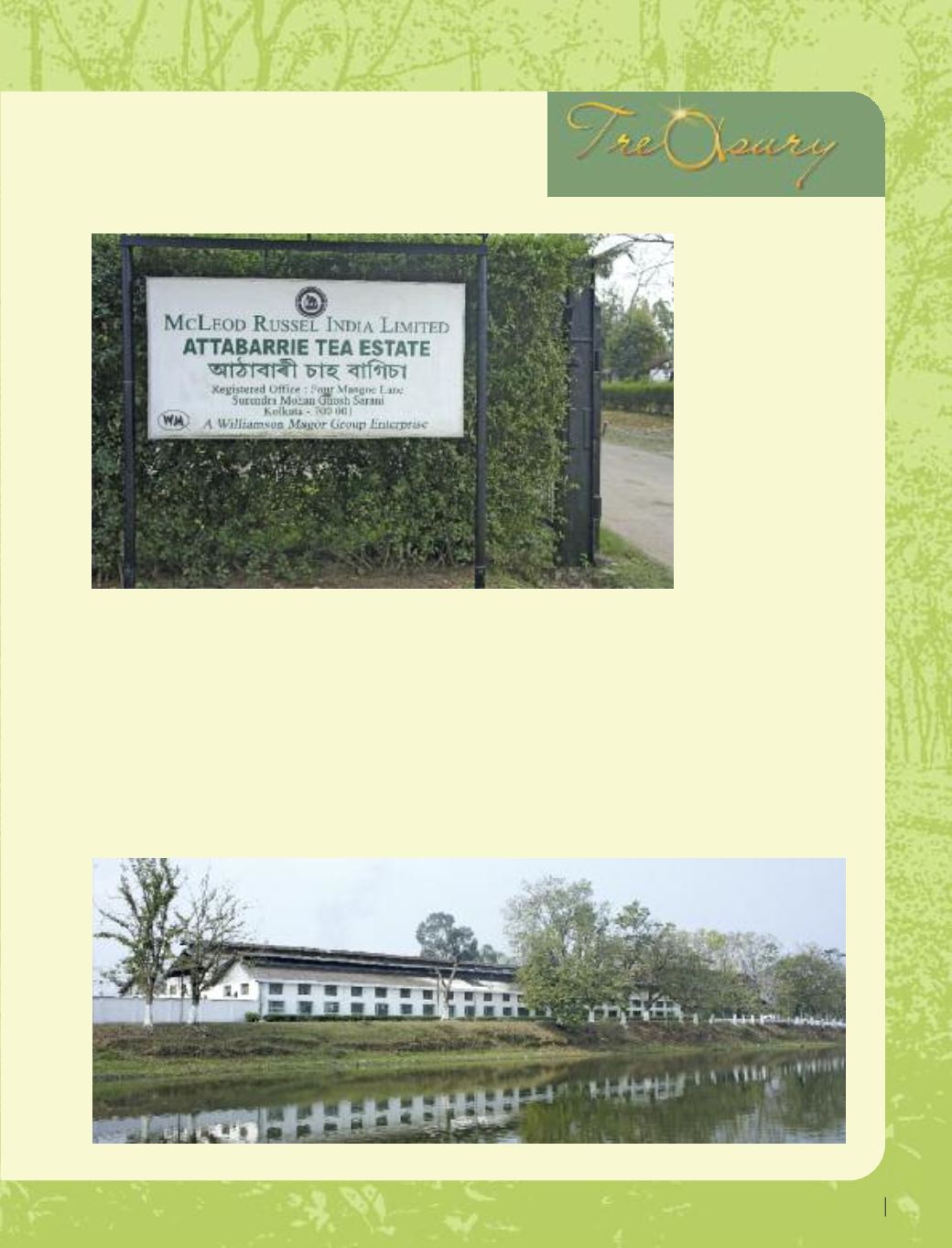 Page Background