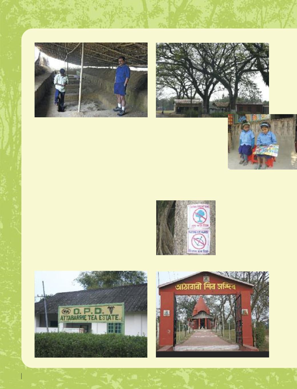 Page Background
